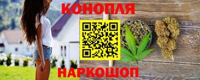МДПВ Гусев