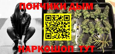 шишки Гусиноозёрск