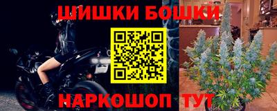 шишки Гусиноозёрск