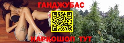 МДПВ Гусев