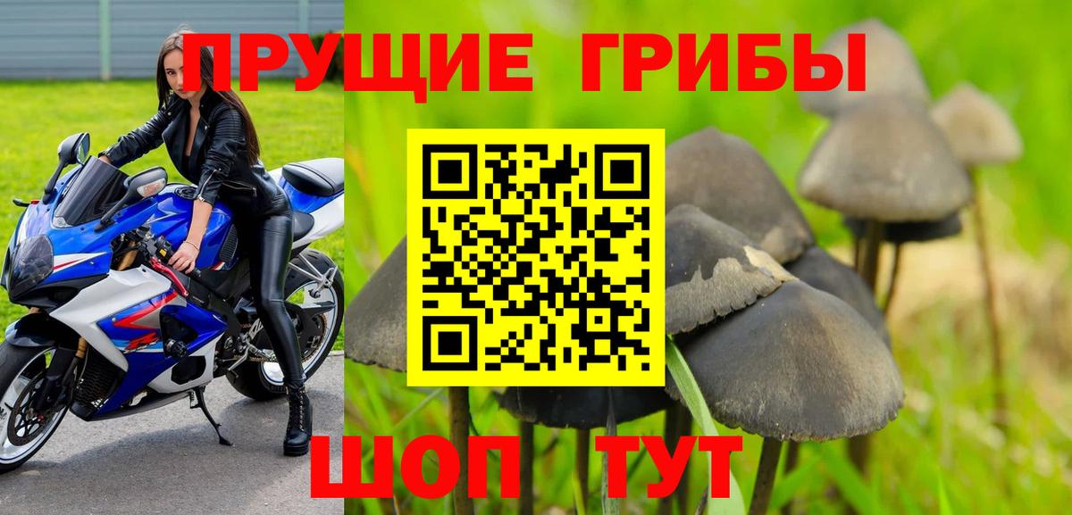 Псилоцибиновые грибы GOLDEN TEACHER Волжск
