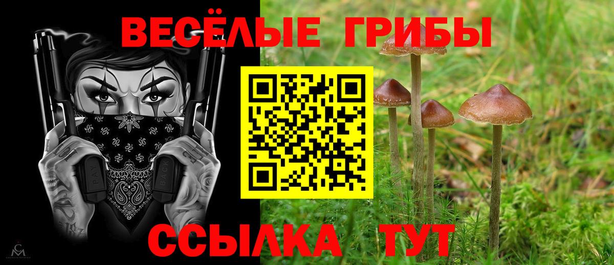 Псилоцибиновые грибы мухоморы  Галлюциногенные грибы ЛСД  Вход с VPN  Волжск 